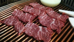 백향목 매장 이미지