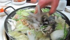 마산쭈꾸미  매장 이미지