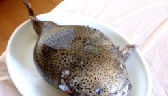 방학곰치집 매장 이미지