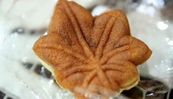 설악산 단풍빵   매장 이미지