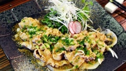 스핀 푸드 돌고 매장 이미지