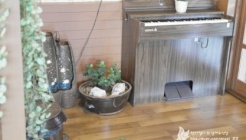 항아리닭갈비막국수 매장 이미지