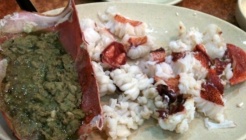 바닷가재 가리비  매장 이미지