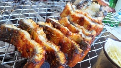 장어섬 매장 이미지