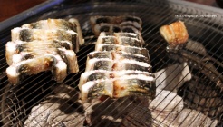 풍천장어 매장 이미지