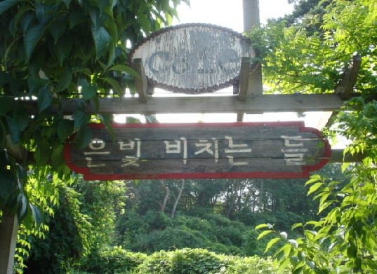 은빛 비치는 들 매장 이미지