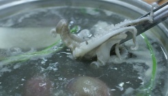 인희네 쭈꾸미랑 낙지랑 매장 이미지