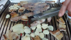 참소나무농원  매장 이미지