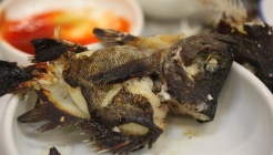 청기와횟집 매장 이미지