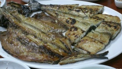 다미 매장 이미지