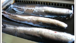 우진갯벌장어  매장 이미지