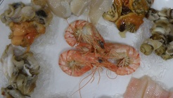 돌고래횟집  매장 이미지