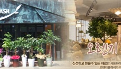 오렌지클래쉬 매장 이미지