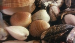 길가조개구이 매장 이미지