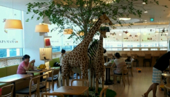 파파마마 서울양천점 매장 이미지