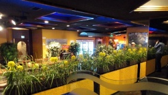 카스톡 매장 이미지