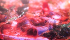 한우돌곱창 매장 이미지