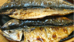 풍어생선구이정식  매장 이미지