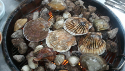 땅끝마을 조개구이 매장 이미지