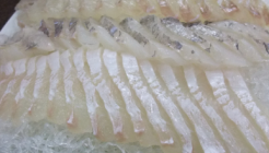 태양수산  매장 이미지