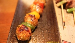 히노쇼군 매장 이미지