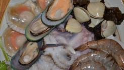 꽃마름(창원상남점) 매장 이미지