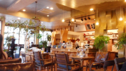 카카듀 매장 이미지