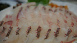 대영수산 회 센터  매장 이미지