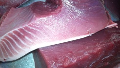 묵호횟집 매장 이미지