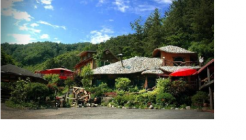 강촌그냥카페 매장 이미지