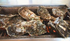 망덕배알도횟집 매장 이미지