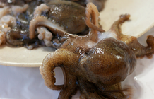 금강호수산 매장 이미지