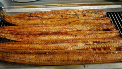 만호민물장어 매장 이미지