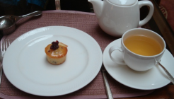 The Courtyard  매장 이미지