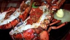 Co Co Restaurant 매장 이미지