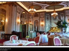 Palm Court(팜코트) 매장 이미지