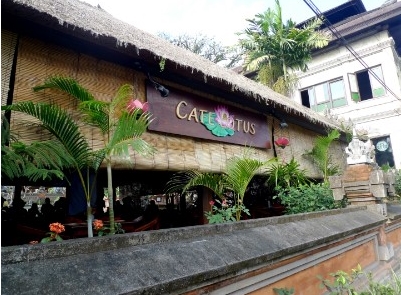 카페 로터스 Cafe Lotus 매장 이미지