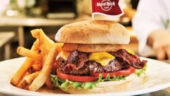 Hard Rock Cafe (하드락카페) 매장 이미지