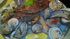 Ristorante Shannara(리스토란테 샤나라)  매장 이미지