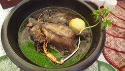 천덕봉 산삼삼계탕 매장 이미지