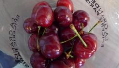 라 그랑드 에피스리 뒤 봉 마르셰 매장 이미지