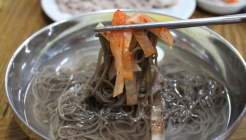 성천동치미막국수 매장 이미지