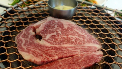 마당넓은집 매장 이미지