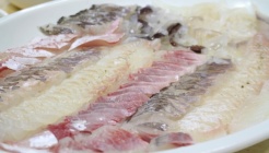 죽도횟집 매장 이미지