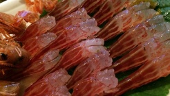 얼짱포차 매장 이미지