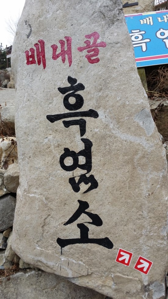  배내골흑염소 매장 이미지