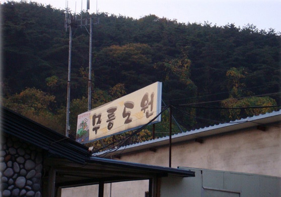 무릉도원 매장 이미지