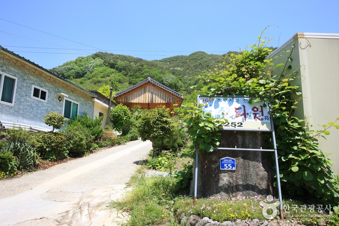 도심다원 매장 이미지