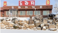 도라지나라 매장 이미지