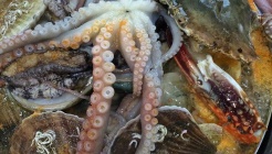 해금강 매장 이미지